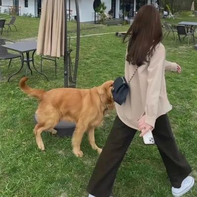 后宫